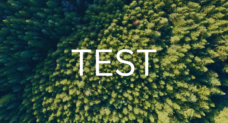 Matt Cruz Test Featured