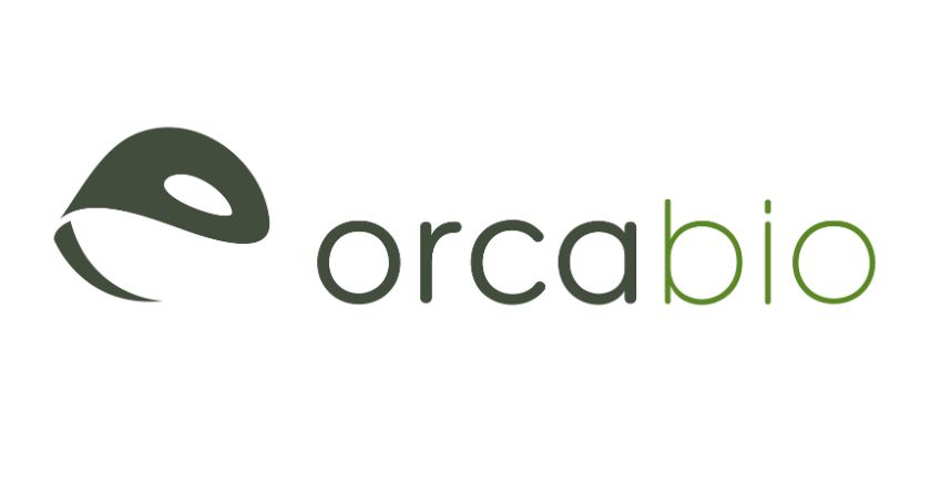 Orca Bio Taps Bijan Nejadnik as New Chief Medical Officer