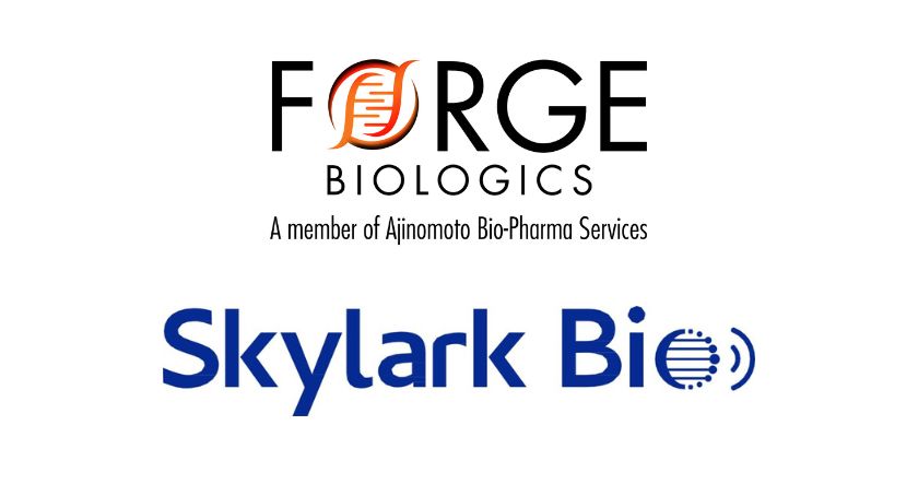 Forge, Skylark Ink Strategic AAV Development, cGMP Manufacturing Agreement