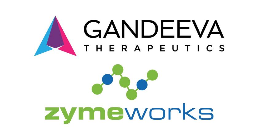 Gandeeva, Zymeworks Using Cryo-EM to Enhance Antibody Drug Discovery