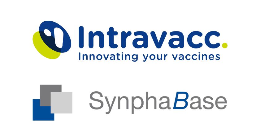Intravacc, SynphaBase Unite to Support Conjugate Vaccine Development and Supply