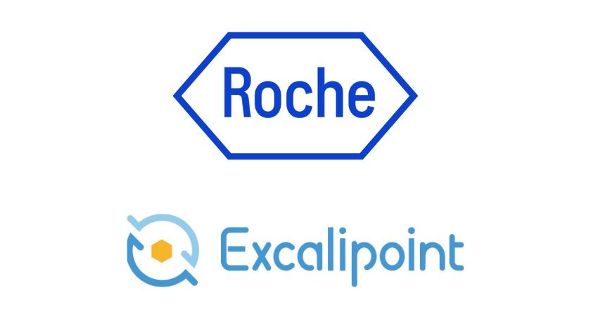 Roche, Excalipoint to Collaborate on Evaluation of Candidate for Solid Tumors