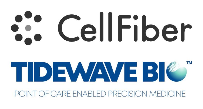 CellFiber, Tidewave Bio to Evaluate 3D Cell Culture Platform for Scalable Manufacturing