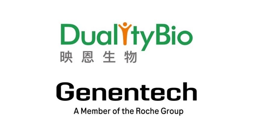 DualityBio and Genentech to Develop Next-Gen ADCs on Novel Payload Platform