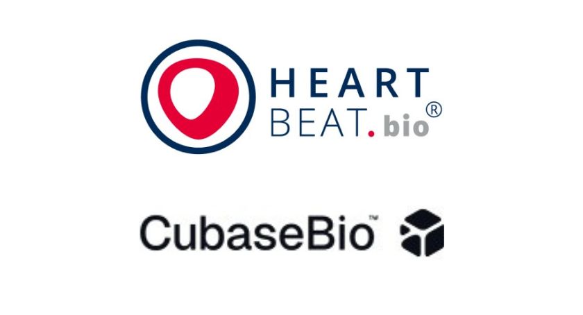HeartBeat.bio, Cubase Bio Partner on Spatial Profiling for Cardiovascular Drug Discovery